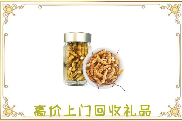 界首周边回收虫草